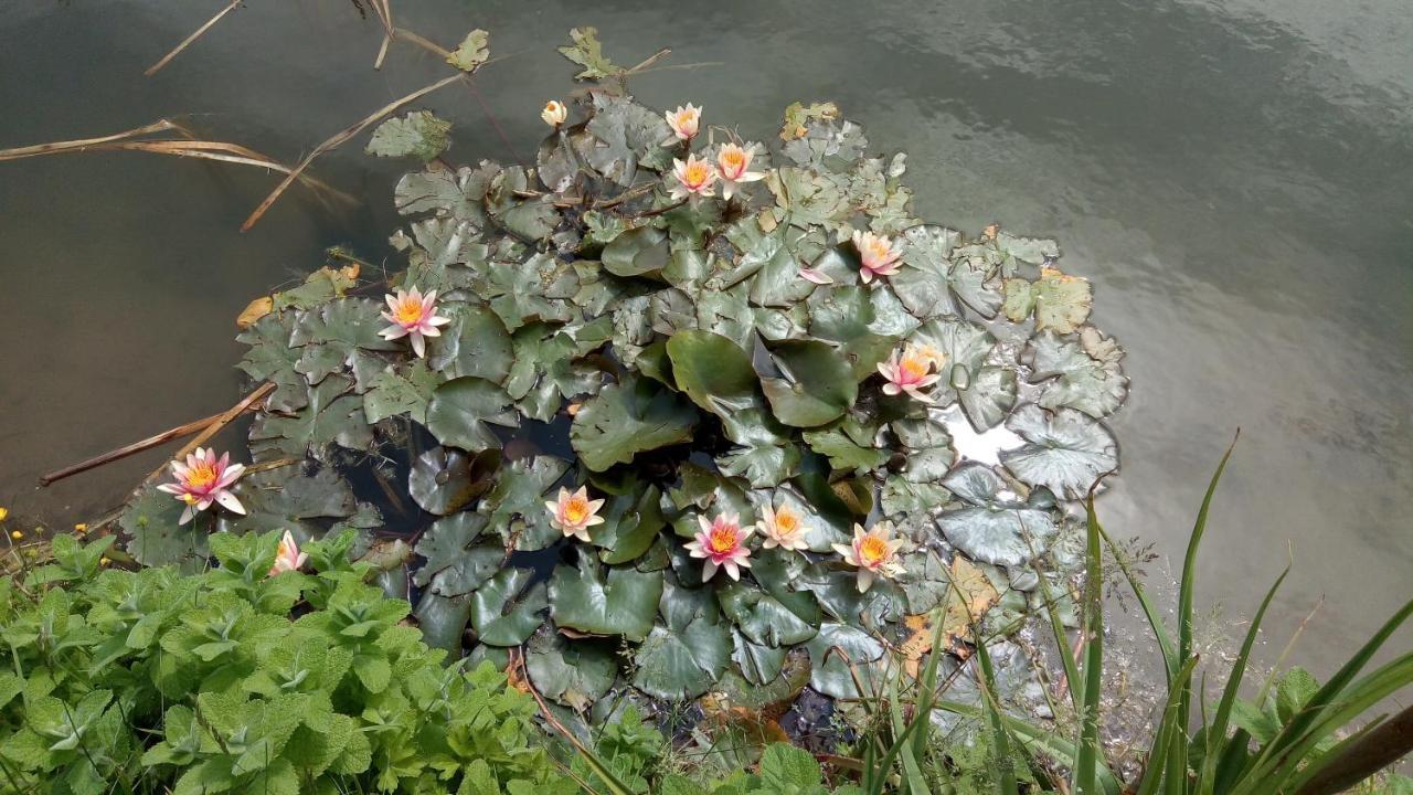 Chambre Coin Nature Fromelles 外观 照片