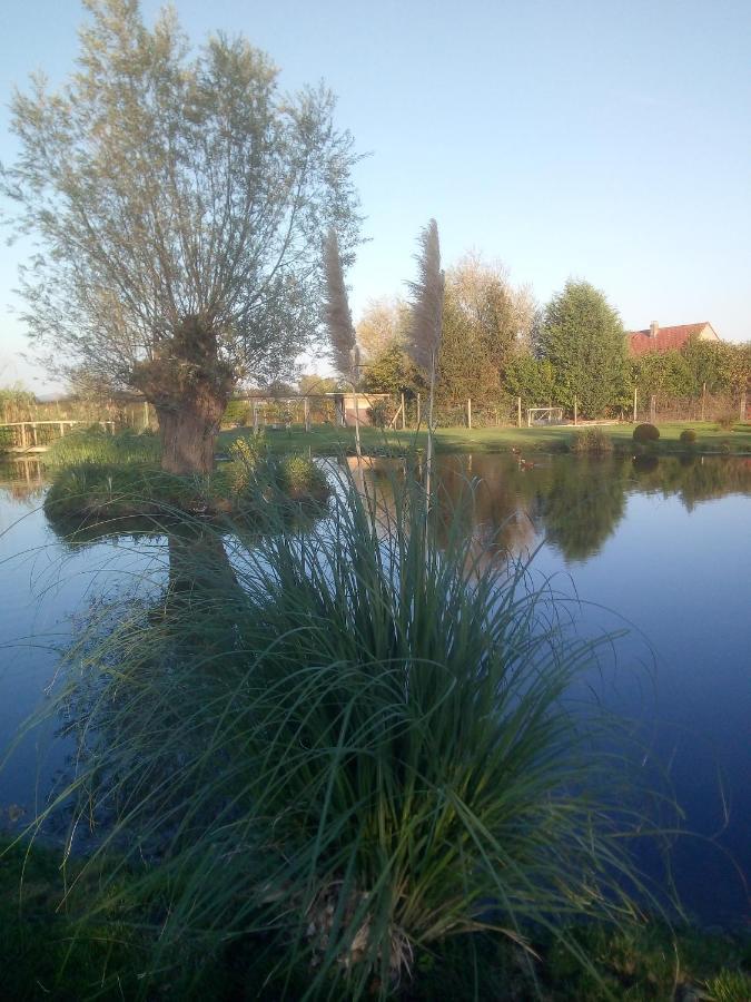 Chambre Coin Nature Fromelles 外观 照片