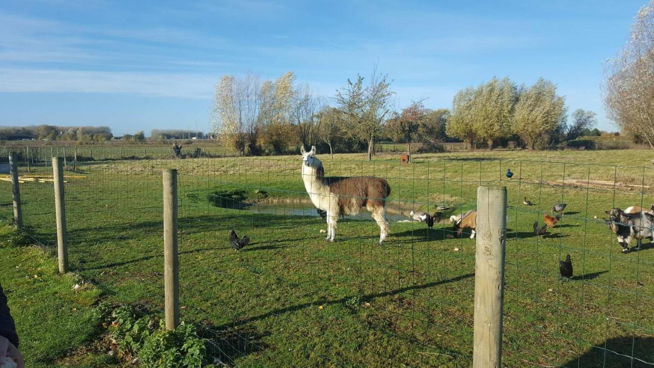 Chambre Coin Nature Fromelles 外观 照片